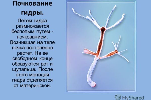 Кракен маркетплейс kr2connect co