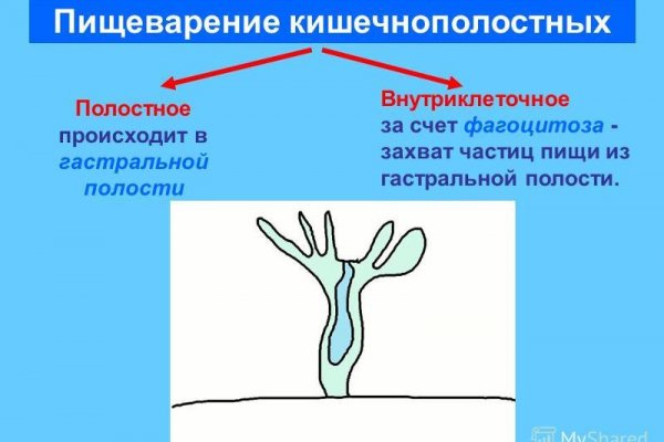 Ссылка на кракен тор магазин