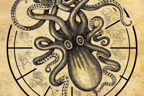 Kraken url