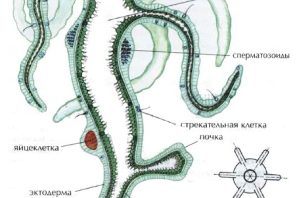 Ссылка кракен vk2 top