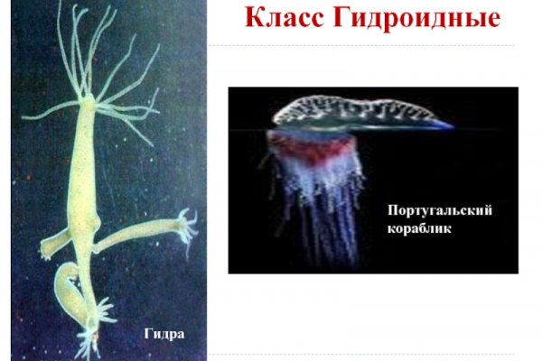 Сайт вместо гидры