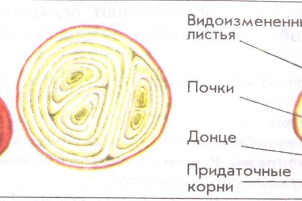 Кракен мефедрон