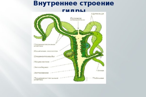 Как зайти на кракен в тор браузере